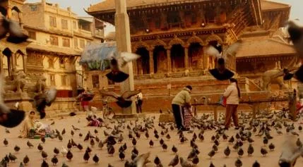 Buddhism's Journey: From Birthplace to Global Influence